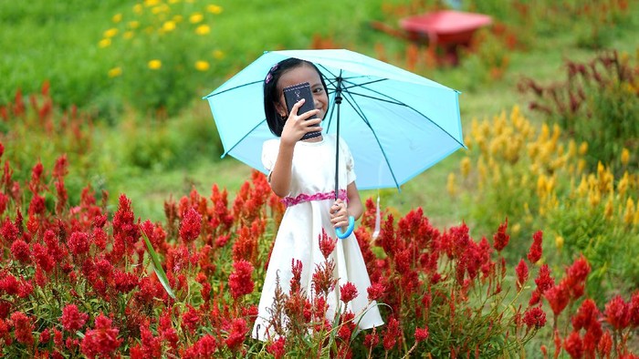 Agrowisata Asmara Garden bisa jadi destinasi wisata menarik untuk mengisi waktu di akhir pekan. Objek wisata ini ada di Kab. Bone Bolango, Gorontalo. Penasaran?