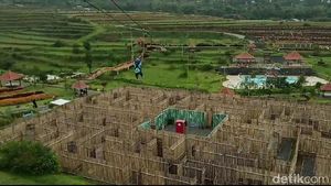 Serunya Mencoba Flying Fox di Lereng Gunung Argopuro Probolinggo