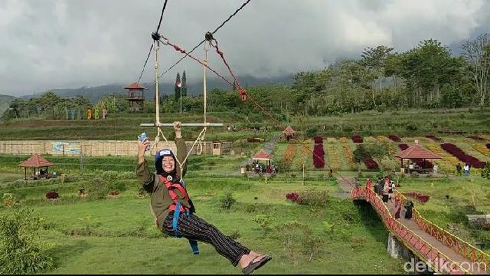 Di Wisata Bermi Eco Park, Kabupaten Probolinggo, pengunjung bisa memacu adrenalin dengan mencoba flying fox. Di wisata yang berada di lereng Gunung Argopuro ini, pengunjung juga disuguhkan panorama yang indah.