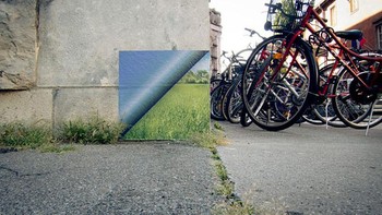 Tembok yang semarak dengan lukisan rumput 3 dimensi. Foto: Imgur