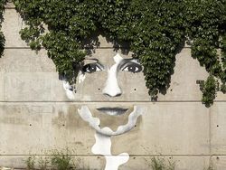 Seni Gambar Jalanan yang Lucu dan Kreatif