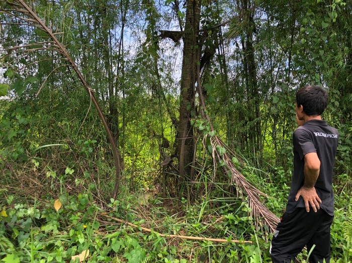 Ini Lokasi Bocah yang Sempat Hilang dan Diyakini Ibunya 'Diculik' Wewe Gombel (Foto: Muhammad Hanafi Aryan/detikcom)