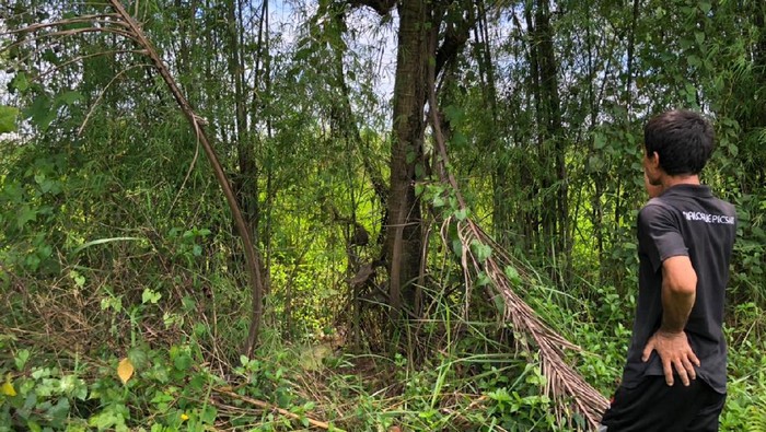 Ini Lokasi Bocah yang Sempat Hilang dan Diyakini Ibunya Diculik Wewe Gombel (Foto: Muhammad Hanafi Aryan/detikcom)