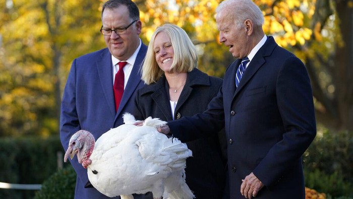 Ini Peanut Butter dan Jelly, Dua Kalkun yang Diampuni Joe Biden Menjelang Thanksgiving Presiden AS biasanya akan memberi pengampunan terhadap kalkun. Tahun ini kalkun yang diampuni Joe Biden adalah Peanut Butter dan Jelly.