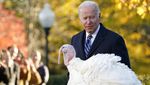 Ini Peanut Butter dan Jelly, Dua Kalkun yang Diampuni Joe Biden