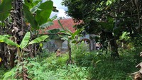 Dalam video 3 menit 22 detik ini, pria-pria terus menyusuri semak pinggir sungai dengan pohon di pinggirnya. Pria pemegang video juga memegang golok. Di depannya, ada pria yang menabur garam dan seorang yang berkaus merah menyabit semak belukar dan bilah bambu yang menghalangi jalan. (Foto: Muhammad Hanafi Aryan/detikcom)
