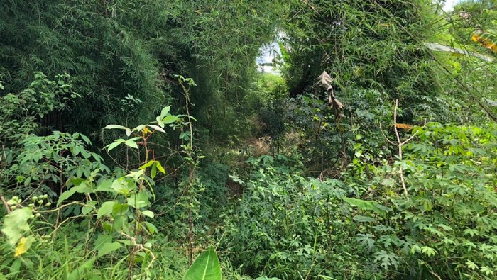 Lokasi Bocah Hilang yang Disebut Dibawa Wewe Gombel Depok (Foto: Muhammad Hanafi Aryan/detikcom)