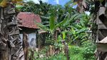 Ini Lokasi Bocah yang Sempat Hilang dan Diyakini Ibunya Diculik Wewe Gombel