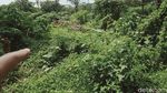 Ya Ampun! Situs Candi Jaden di Klaten Terbengkalai dan Ditumbuhi Semak Belukar