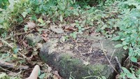 Tumpukan blok-blok batu kembali ditumbuhi semak belukar.