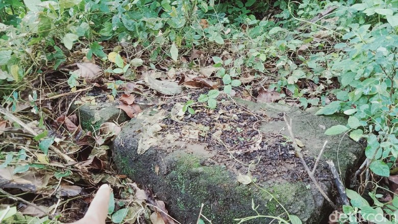 Situs candi Jaden di Kecamatan Jatinom yang ditumbuhi semak belukar Situs candi Jaden di Kecamatan Jatinom yang ditumbuhi semak belukar