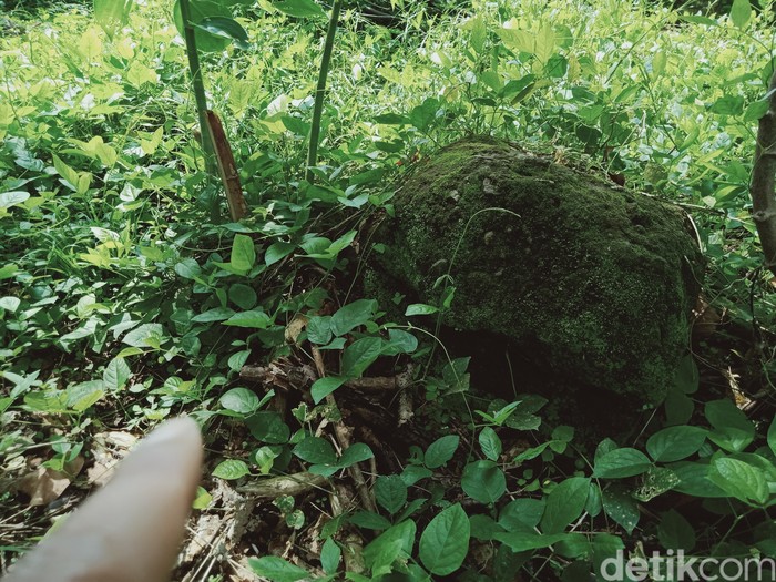 Situs candi Jaden di Kecamatan Jatinom yang ditumbuhi semak belukar