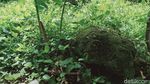 Ya Ampun! Situs Candi Jaden di Klaten Terbengkalai dan Ditumbuhi Semak Belukar