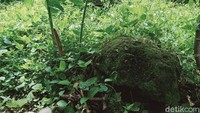 Situs yang diduga bekas bangunan candi di Dusun Jaden, Desa Mranggen, Kecamatan Jatinom, Klaten, Jawa Tengah terbengkalai.