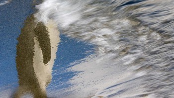 Pemenang kategori Attention to Detail diraih oleh Rafael Armada Foto: Bird Photographer of the Year