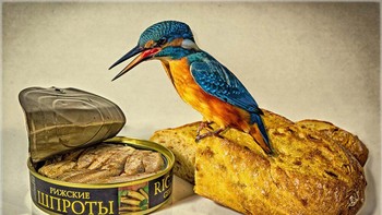 Pemenang kategoriCreative Imagery diraih oleh Ruediger Schulz Foto: Bird Photographer of the Year