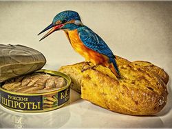 Terpukau Karya Juara Kontes Foto Burung