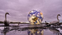 Para pencinta seni di Inggris bisa melihatnya mulai 19 sampai 28 November 2021.  Foto: Getty Images/Christopher Furlong