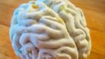 Unik! Ini 10 Kreasi Tempe Cantik dan Sehat yang Memikat Selera
