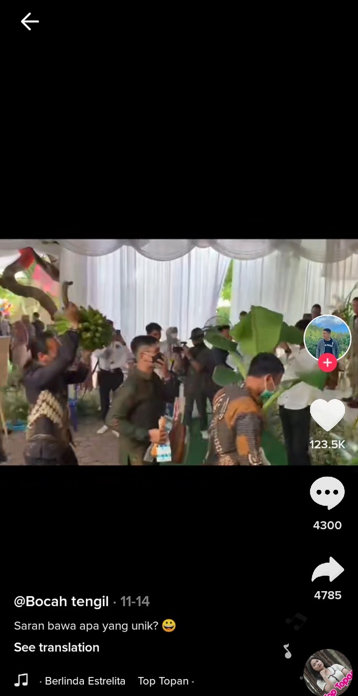 Hadiah Kocak Pernikahan Kocak! Pengantin Ini Dapat Kado Pohon Pisang hingga Bebek Hidup