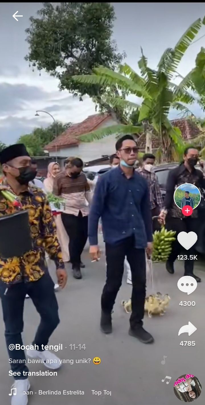 Kocak! Pengantin Ini Dapat Kado Pohon Pisang hingga Bebek Hidup