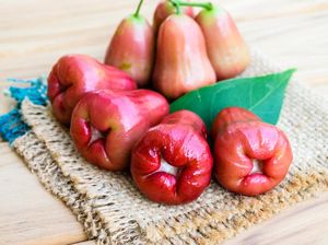 10 Jenis Jambu Air di Indonesia Beserta Gambarnya