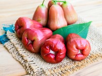 10 Jenis Jambu Air di Indonesia Beserta Gambarnya