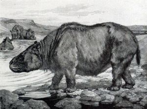 Mengenal Toxodon dan Asal-usul Ide Teori Darwin
