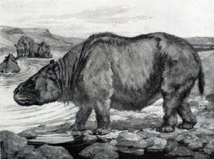 Mengenal Toxodon dan Asal-usul Ide Teori Darwin