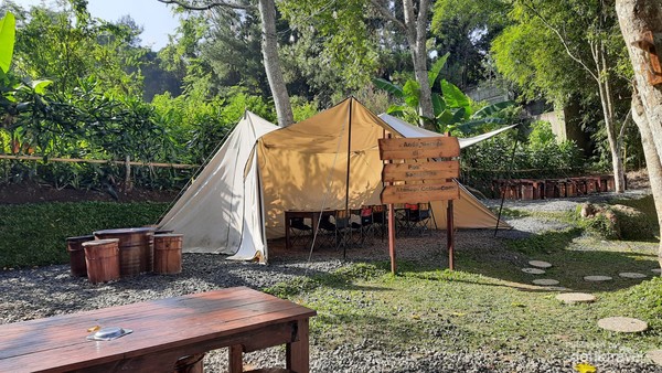 tenda dan tempat duduk di area atanapi coffee camp