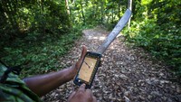 Para peneliti menggunakan teknologi berbasis DNA nasional untuk menghitung gajah hutan yang hidup bebas di Afrika. Teknologi ini juga digunakan untuk menghitung gajah dan harimau di India.  