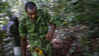 Menurut Persatuan Internasional untuk Konservasi Alam, Afrika Tengah memiliki jumlah gajah hutan terbesar di dunia. Meskipun angkanya telah turun lebih dari 86 persen selama periode 31 tahun. Lembaga ini melihat meningkatnya ancaman perburuan dan hilangnya habitat.  