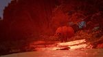 Menyusuri Benteng Terakhir Gajah Afrika yang Terancam Punah