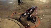 Kereta dorong anak-anak yang rusak tergeletak di W. Main St. di pusat kota Waukesha, Wis., setelah sebuah mobil melaju ke parade pawai Natal. AP/John Hart