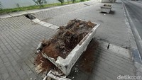 Belum diketahui pot tanaman itu pecah karena sengaja dirusak atau tidak.