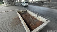 Tanaman yang berada di pot pun banyak yang hilang.
