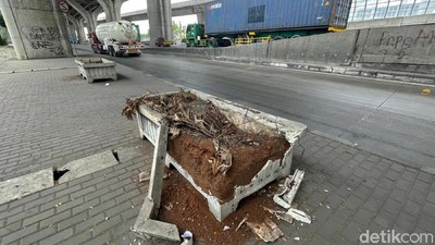 Pot Tanaman di Tanjung Priok Ini Dicuekin sampai Rusak