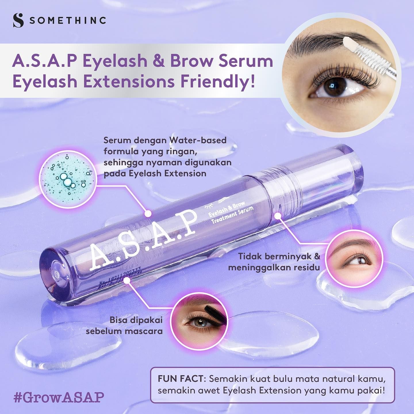 Lash brow serum. Butterfly Pea Lash Brow Serum. Meiji Butterfly Pea Serum. The Act Eyebrow Serum Gel.