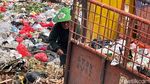 Sang Pengais Sampah Berjibaku dengan Bau dan Terik Matahari