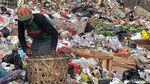 Sang Pengais Sampah Berjibaku dengan Bau dan Terik Matahari