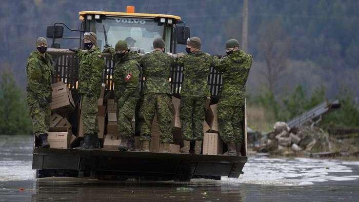 Tentara Kanada Evakuasi Ribuan Ayam AP/Jonathan Hayward (Jonathan Hayward/The Canadian Press via AP)