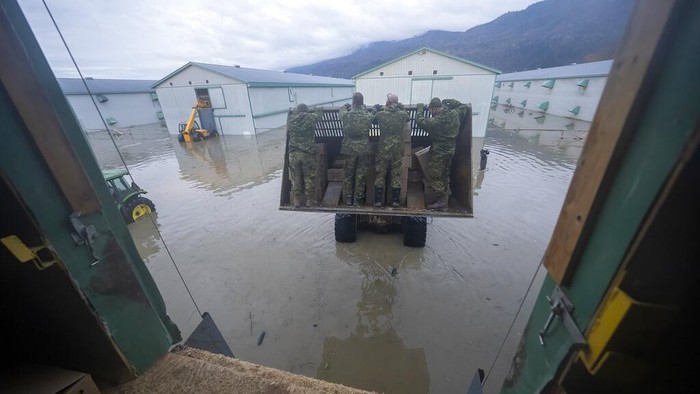 Tentara Kanada Evakuasi Ribuan Ayam AP/Jonathan Hayward (Jonathan Hayward/The Canadian Press via AP)
