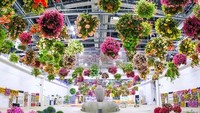 Starbucks di Tokyo ini dikelilingi bunga cantik. Lokasinya ada di dalam rumah kaca Hana Biyori yang merupakan bagian dari taman bermain Yomiuriland. Selain bunga, di dalam area kebun raya ini juga ada akuarium ikan tropis sepanjang 8 meter! 