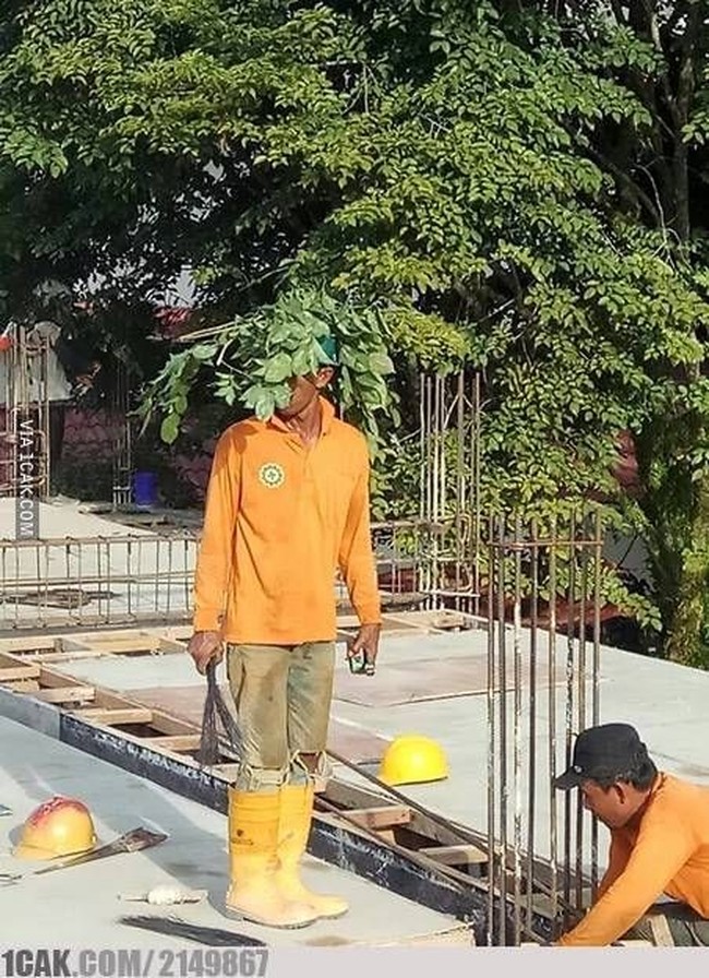 Hampir sama seperti tukang bangunan yang sebelumnya, tukang bangunan yang satu ini juga memilih menggunakan dedaunan di kepalanya demi bisa terhindar dari pancaran sinar matahari. Benar-benar aksinya bisa bikin yang lihat jadi bingung terheran-heran. Foto: 1cak.com