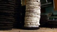 Hobi makan Oreo, seorang netizen punya cara untuk menikmati oreonya. Memisahkan antara biskuit dan krimnya satu per satu, ia menyusun krim oreo hingga setinggi ini! Foto: Istimewa
