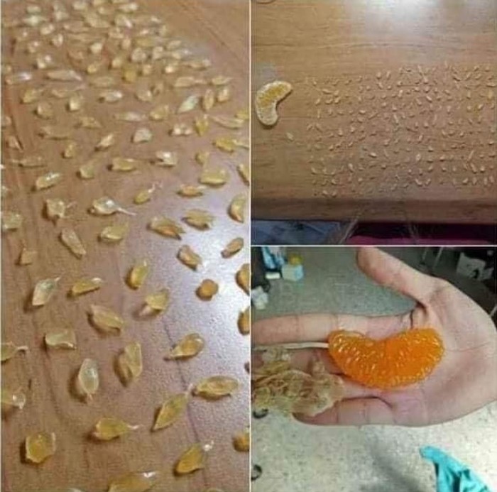 Salt Bae Buka Lowongan Pekerjaan dengan Gaji Hingga Rp 45 juta Perbulan