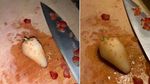 Iseng! 10 Aksi Netizen Kurang Kerjaan Saat Kupas Kuaci hingga Susun Semangka