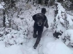 Foto Ilusi Optik yang Bikin Mata dan Otak Tertipu, Berani Buktikan?