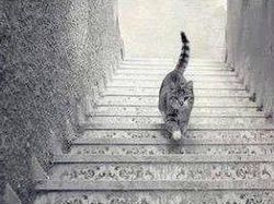 Foto Ilusi Optik yang Bikin Mata dan Otak Tertipu, Berani Buktikan?