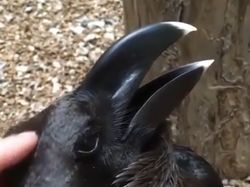 Foto Ilusi Optik yang Bikin Mata dan Otak Tertipu, Berani Buktikan?